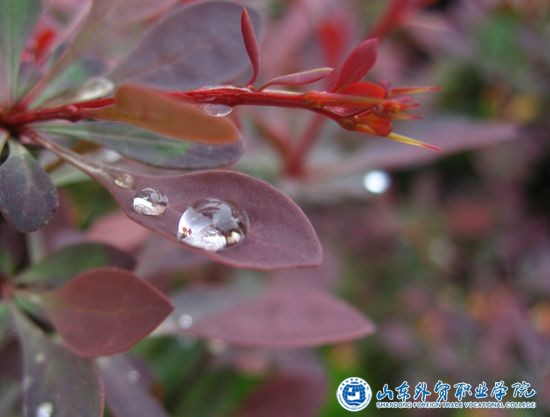 楊凱 （12國貿2）微觀(guān)世界.jpg